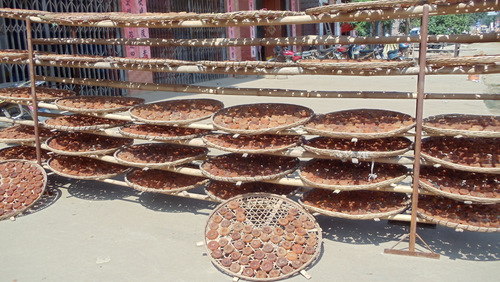 Terry's Picture of the Persimmon Drying Racks.